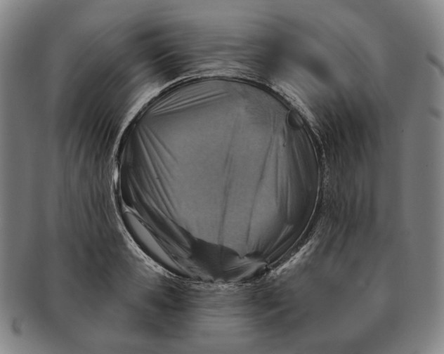 X0000091230941200708301513