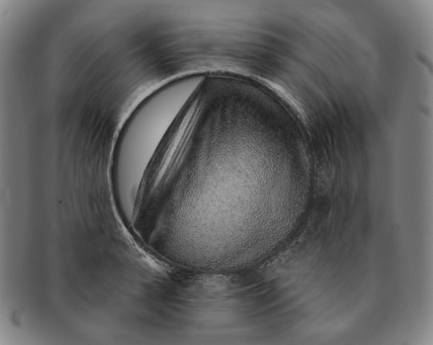 X0000091230943200708301513