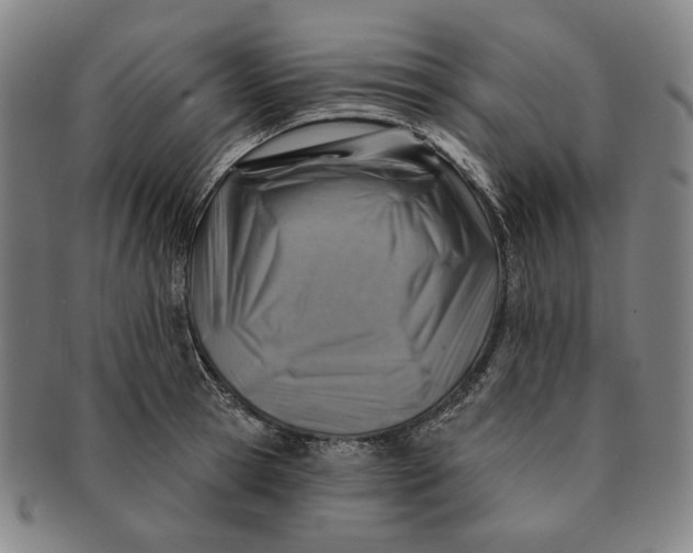X0000091230945200708301513