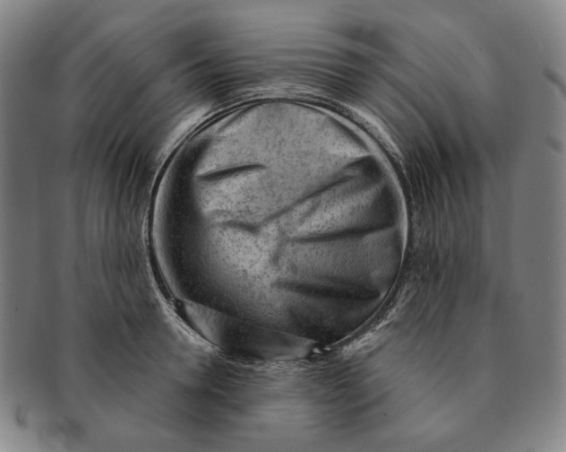 X0000091230946200708301513