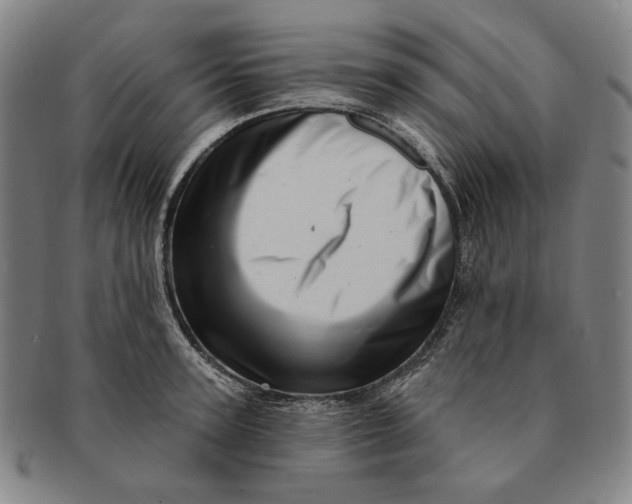 X0000091230947200708301513