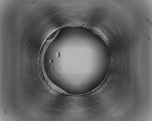 X0000091230948200708301513