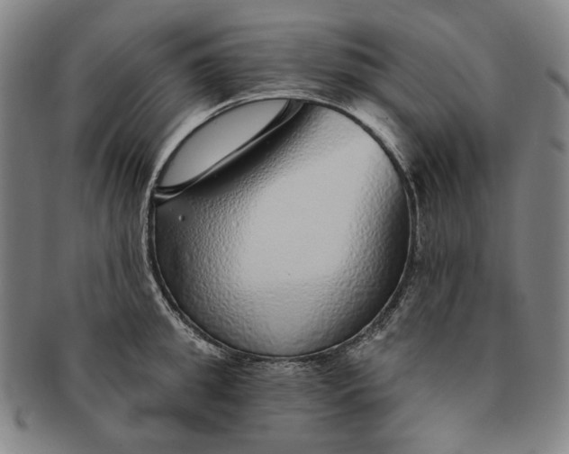 X0000091230949200708301513