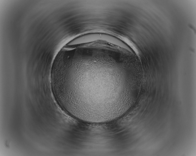 X0000091230951200708301513