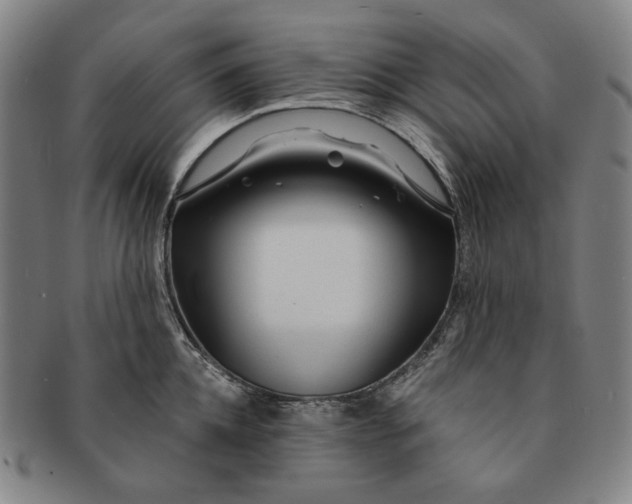 X0000091230952200708301513