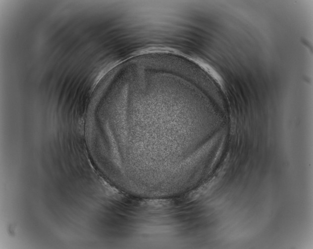 X0000091230953200708301513