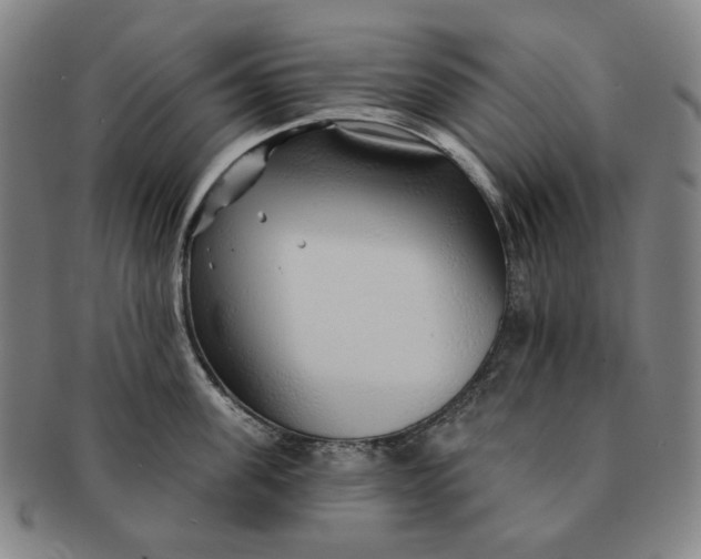 X0000091230955200708301513