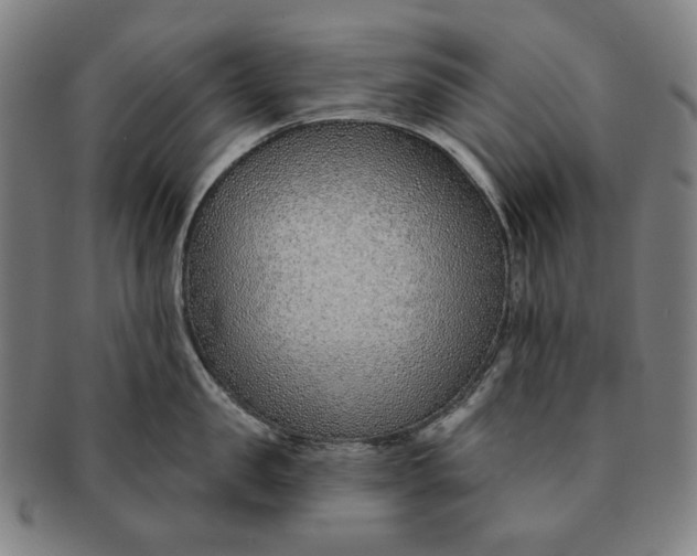 X0000091230957200708301513
