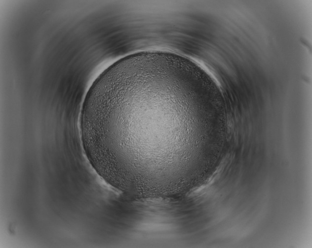 X0000091230959200708301513