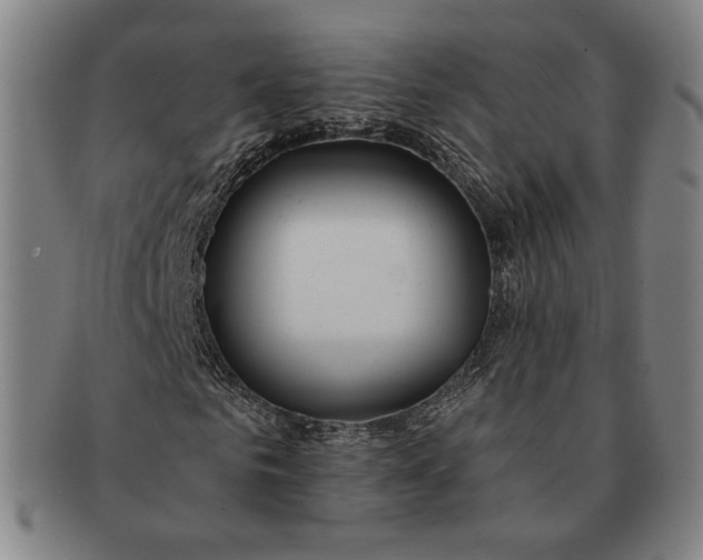 X0000091230961200708301512