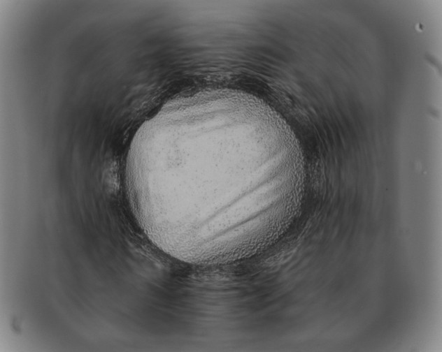 X0000091230962200708301512