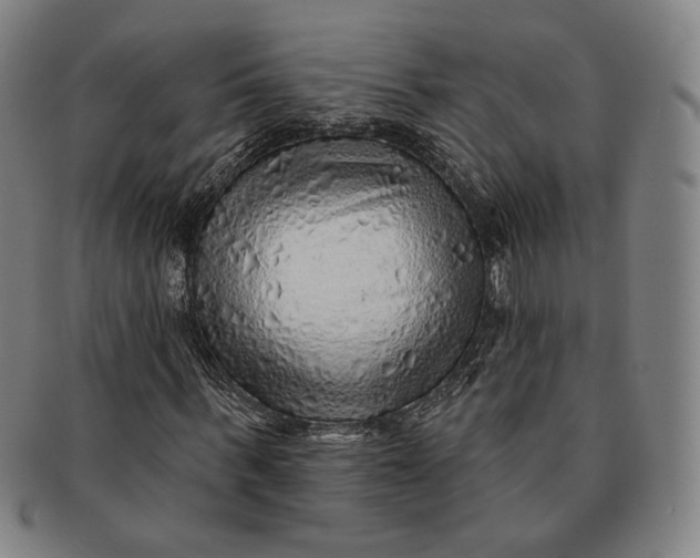 X0000091230963200708301512