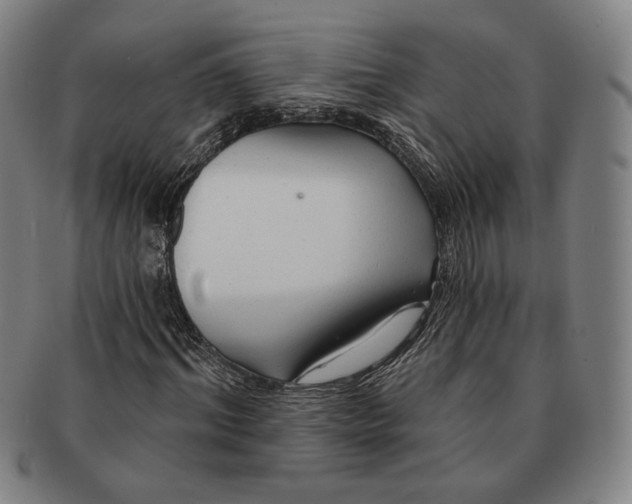 X0000091230964200708301512