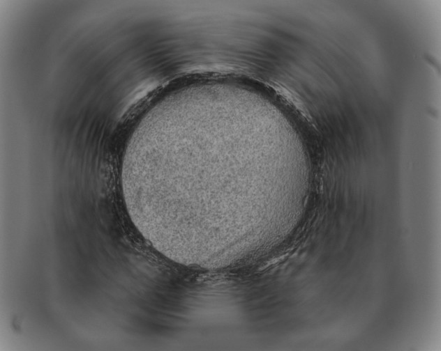 X0000091230967200708301512