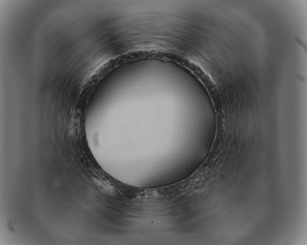 X0000091230968200708301512