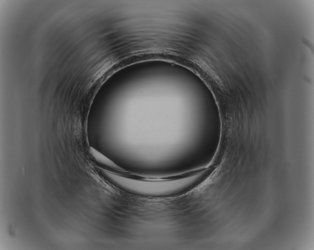 X0000091230969200708301512