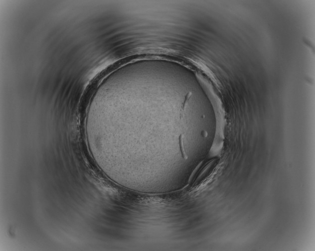 X0000091230971200708301512