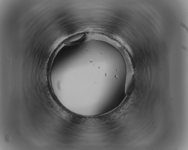 X0000091230972200708301512