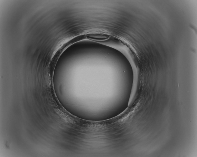 X0000091230973200708301512