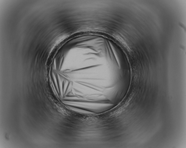 X0000091230974200708301512