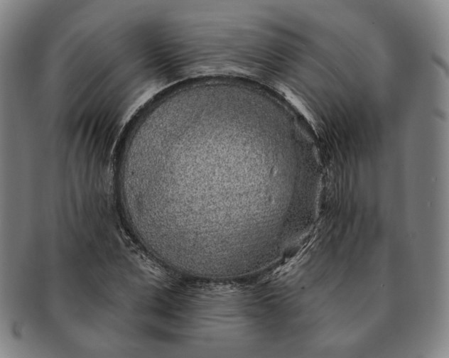 X0000091230975200708301512