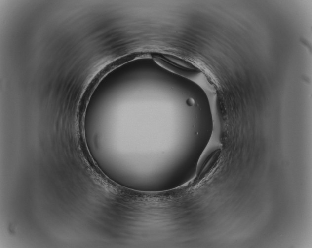 X0000091230976200708301512
