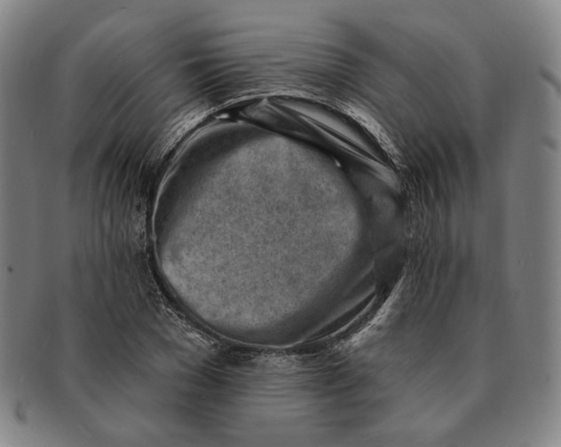 X0000091230977200708301512