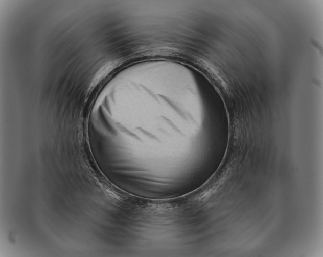 X0000091230978200708301512
