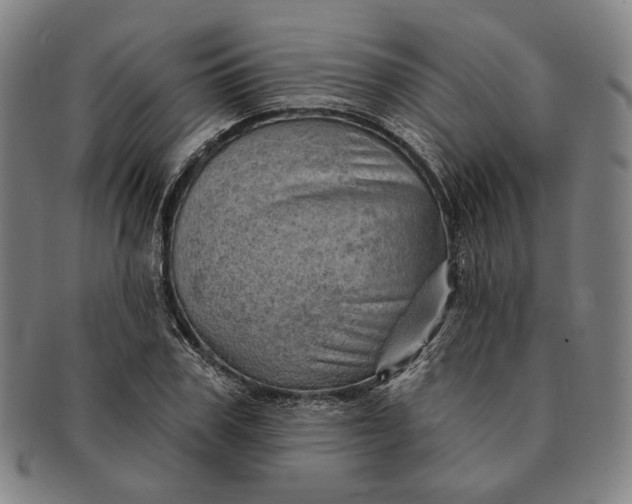 X0000091230979200708301512