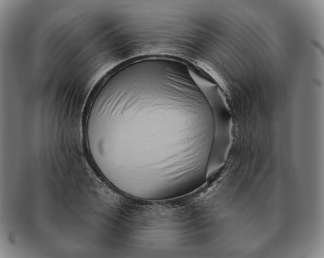 X0000091230980200708301512