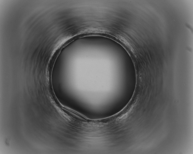 X0000091230981200708301512
