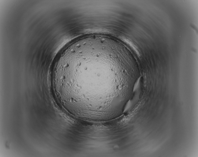 X0000091230983200708301512