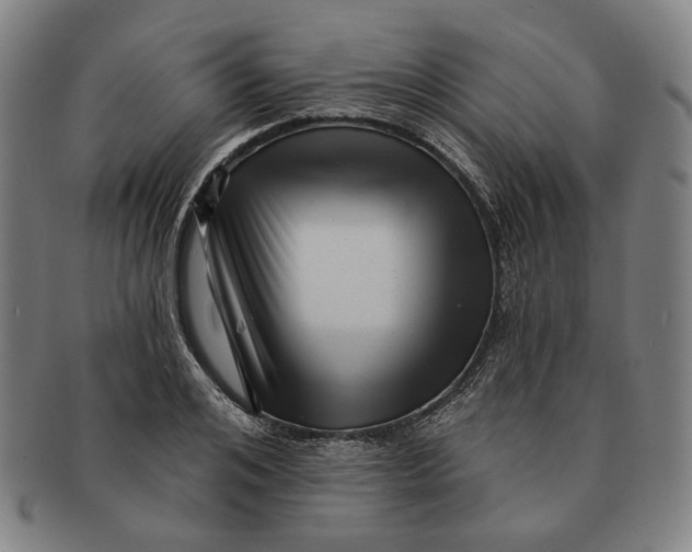 X0000091230984200708301512