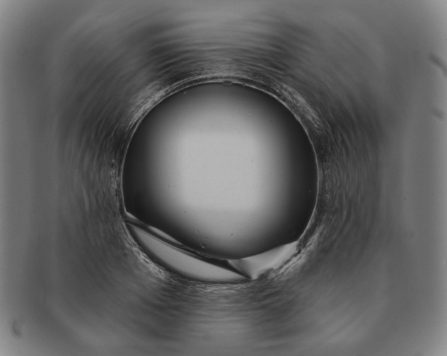 X0000091230985200708301512