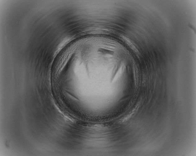 X0000091230986200708301512