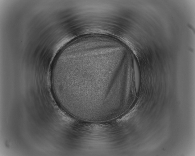 X0000091230987200708301512