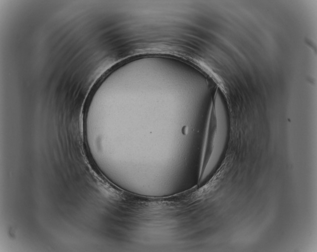 X0000091230988200708301512