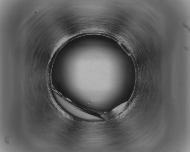X0000091230989200708301512