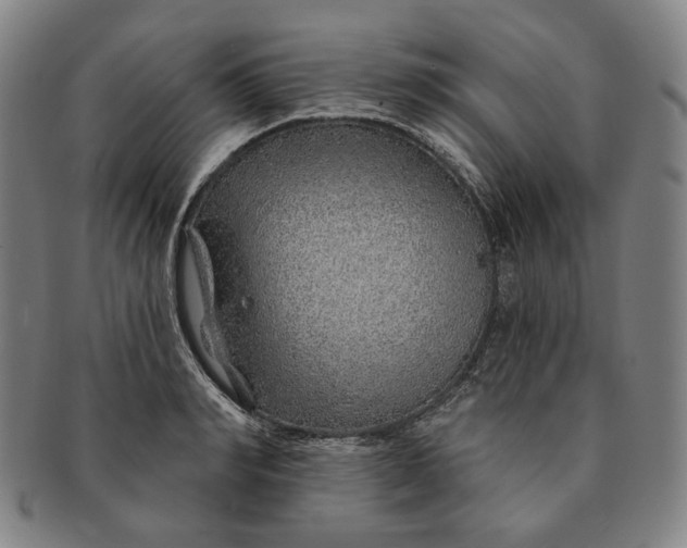 X0000091230990200708301512