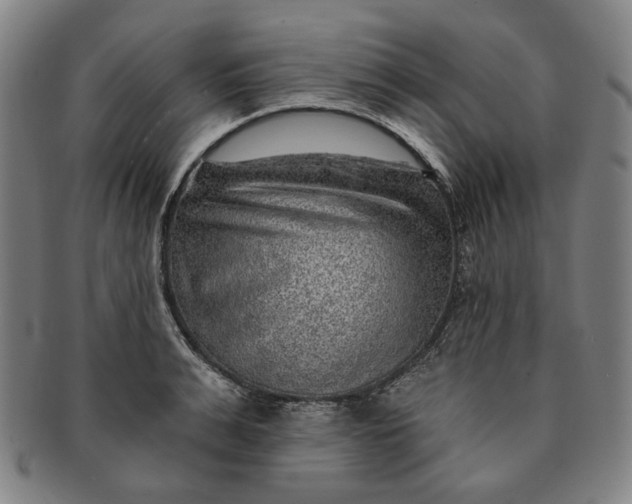 X0000091230991200708301512