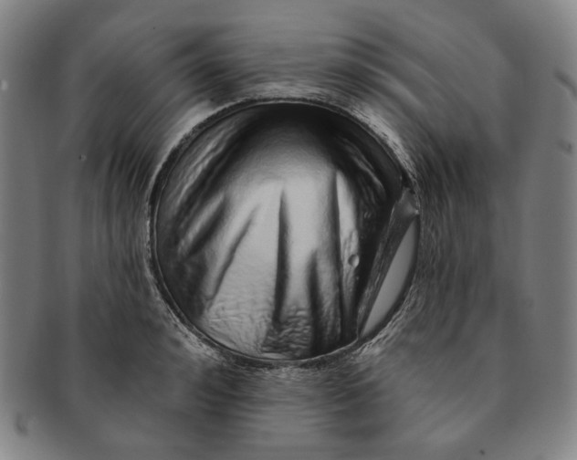 X0000091230992200708301512