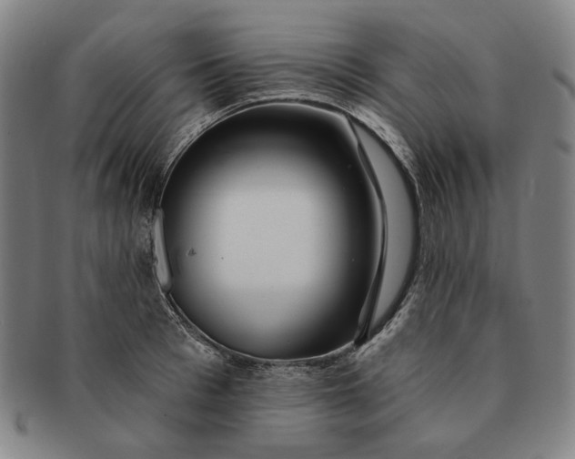 X0000091230993200708301512