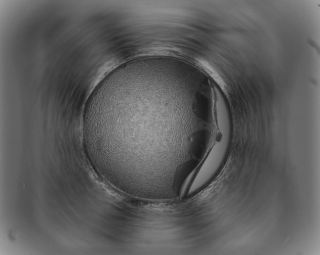 X0000091230994200708301512