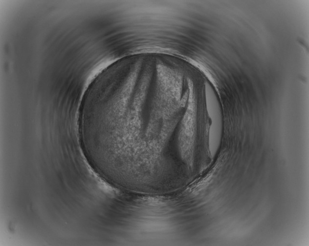 X0000091230995200708301512