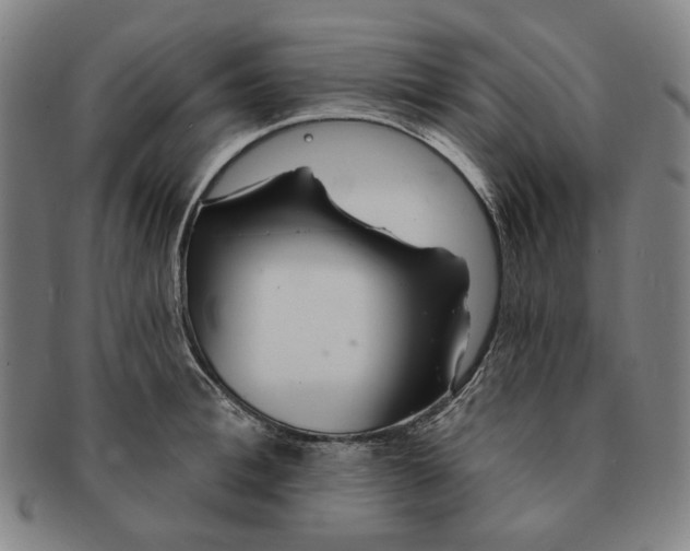 X0000091230996200708301512
