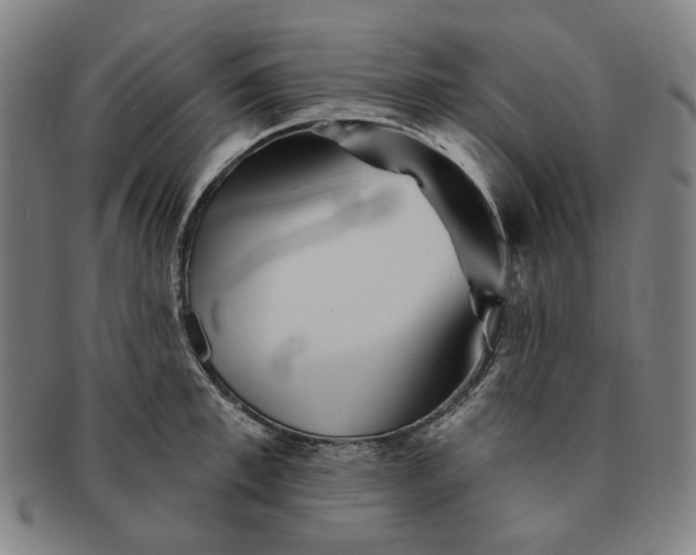 X0000091230997200708301512