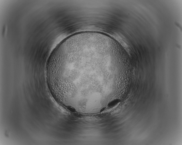X0000091230998200708301512