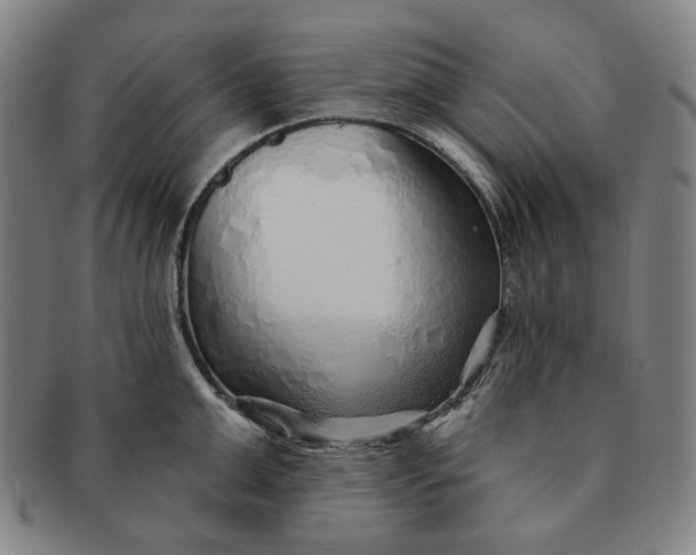 X0000091230999200708301512