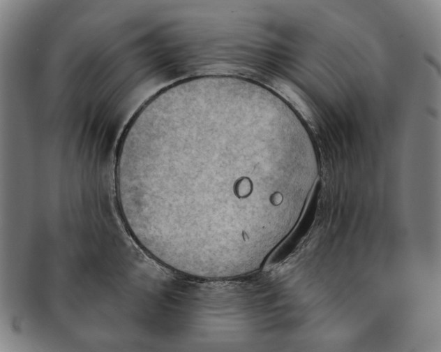X0000091231000200708301511