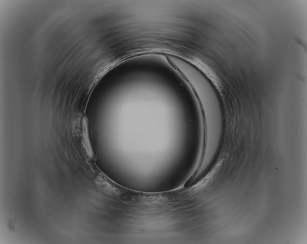 X0000091231001200708301511